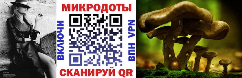 hydra tor  Новочеркасск  Галлюциногенные грибы мицелий 