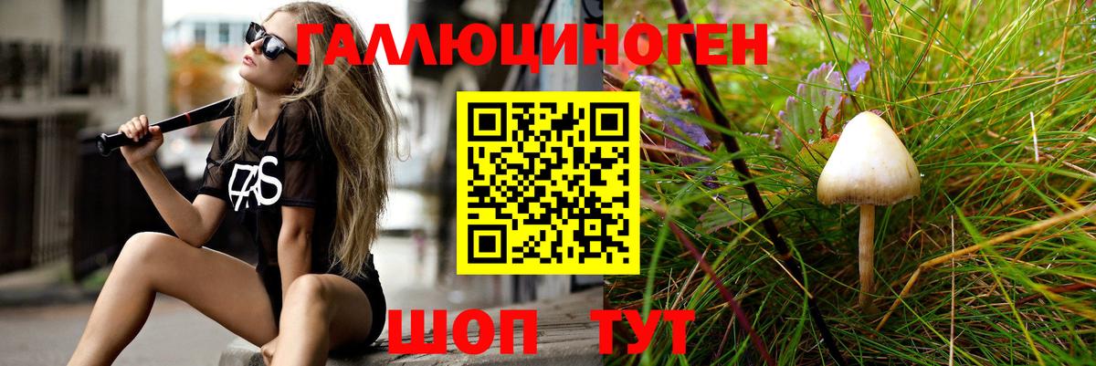 Новочеркасск  Галлюциногенные грибы Psilocybine cubensis  Галлюциногенные грибы Psilocybine cubensis  Вход с VPN 