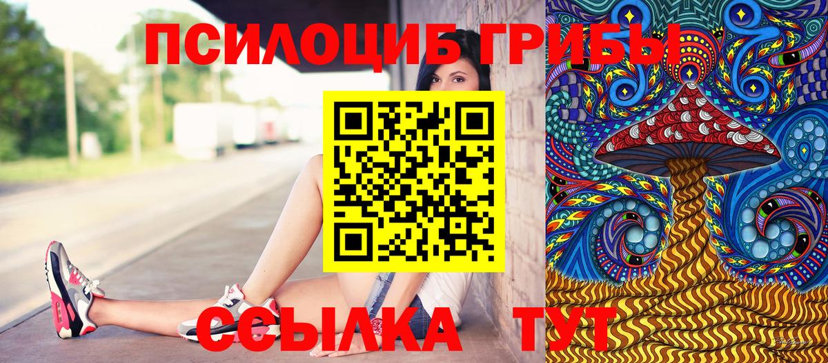 Псилоцибиновые грибы мицелий Новочеркасск